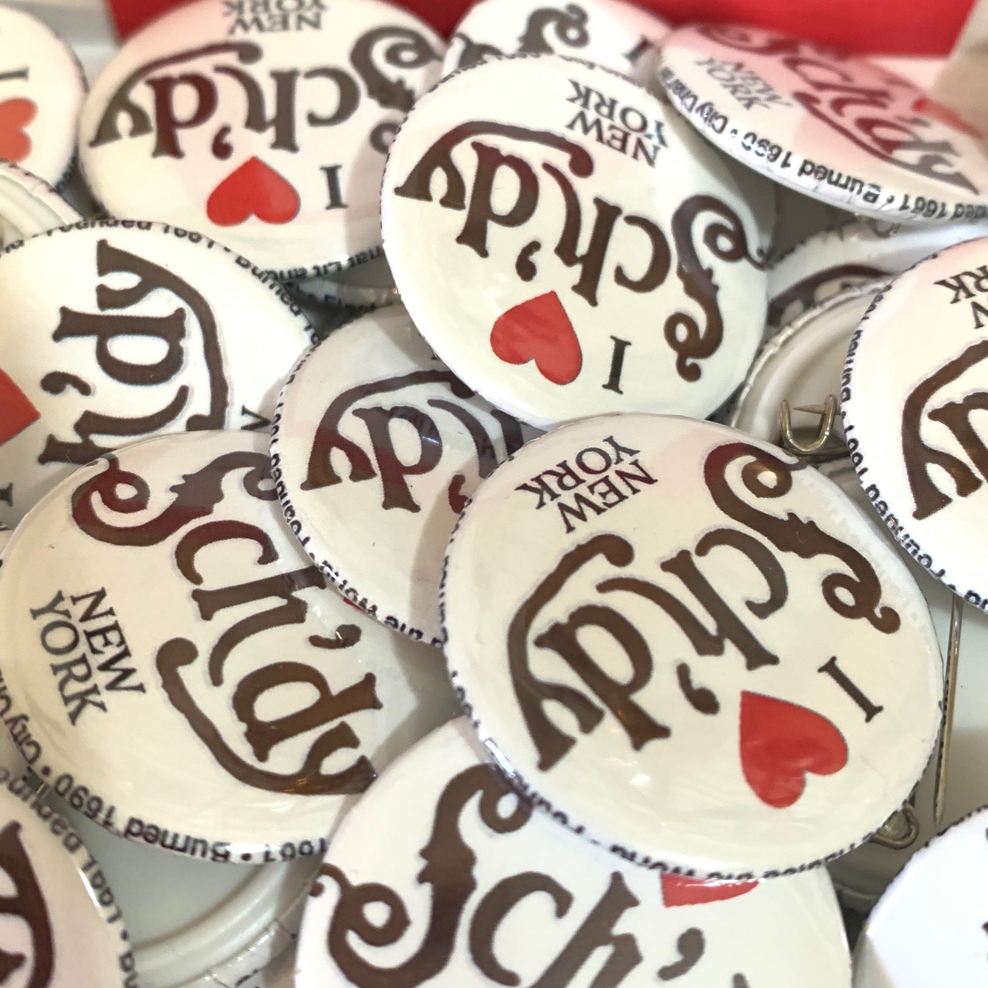 I ️ Sch’dy Pins from Bear & Bird Schenectady The Schenectady Trading